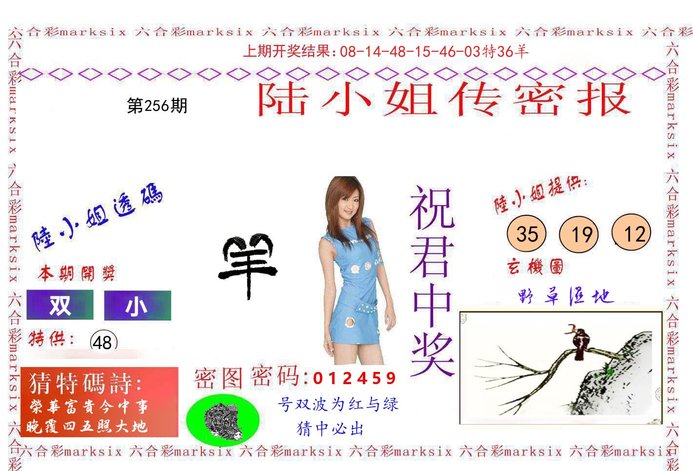 陆小姐密报 第256期