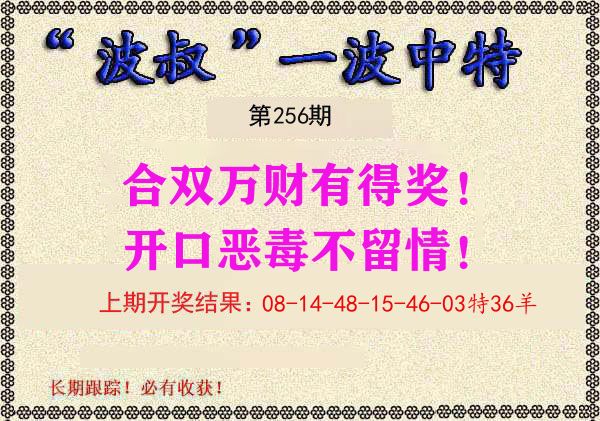 波叔中特 第256期
