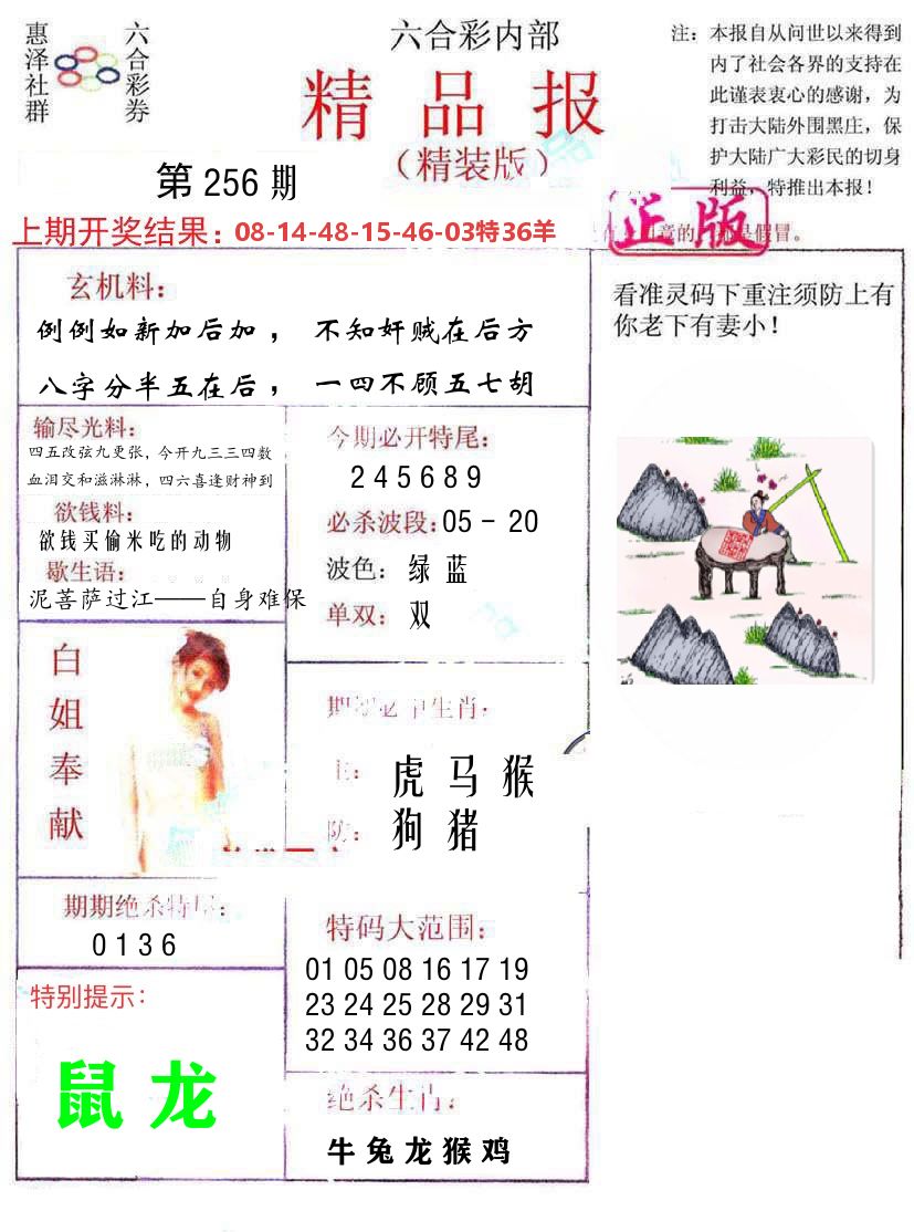 精品报 第256期