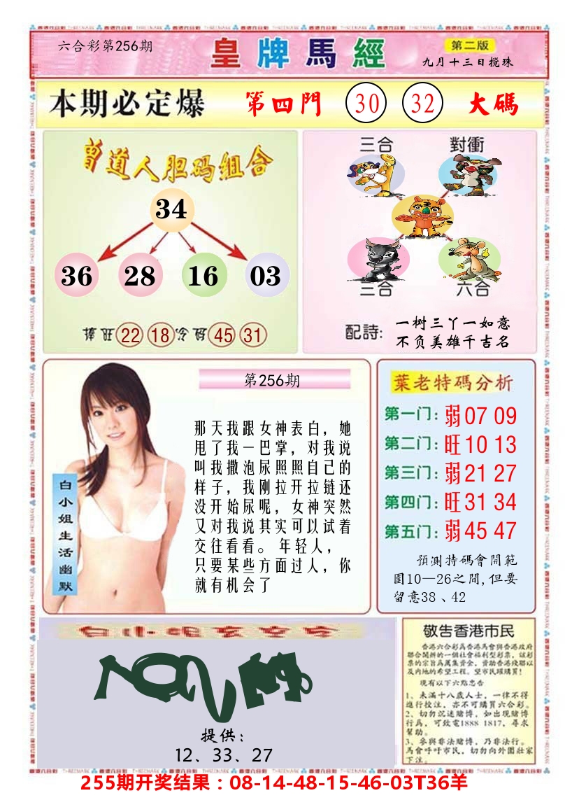 澳门皇牌马经B 第256期
