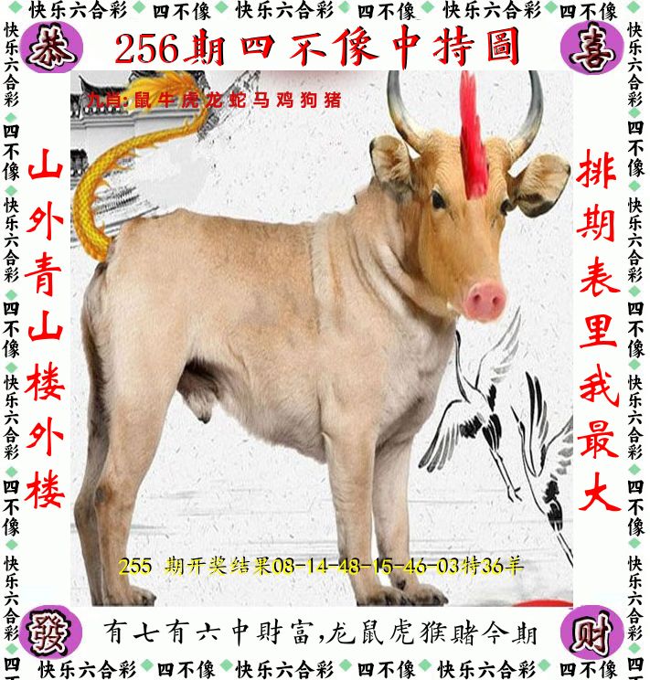 四不像 第256期