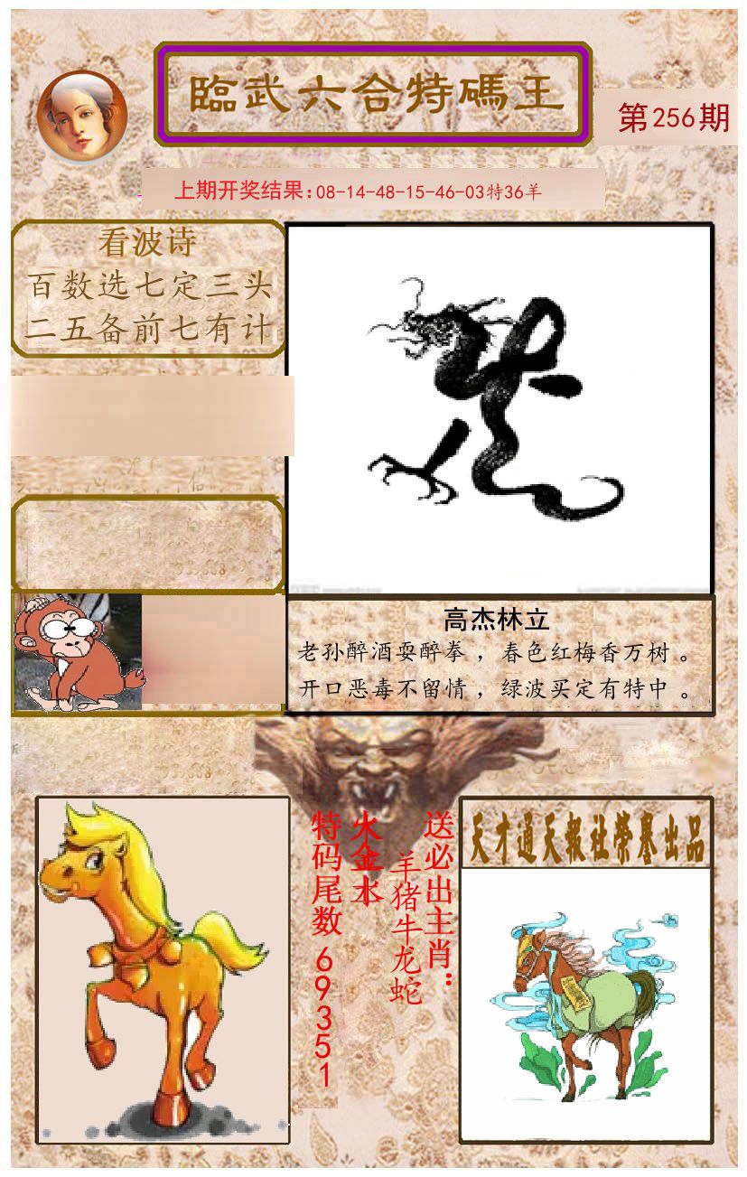 臨武六合特码王 第256期