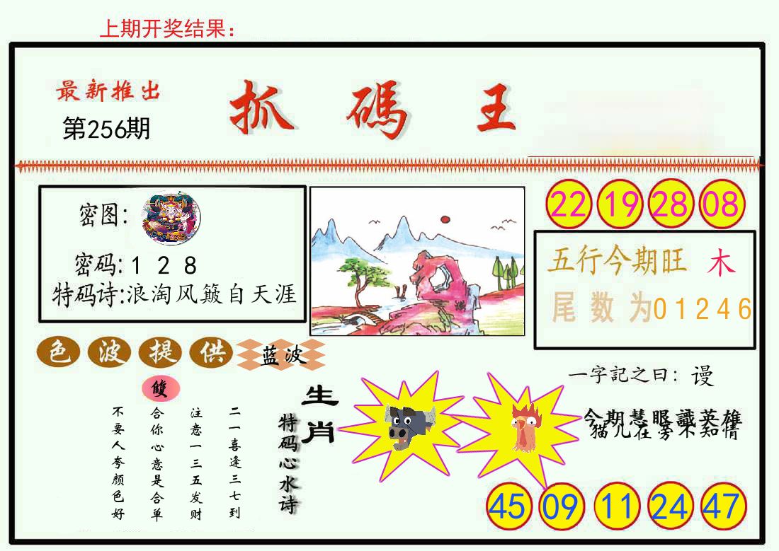 最新抓码王 第256期