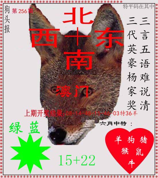 狗头报 第256期