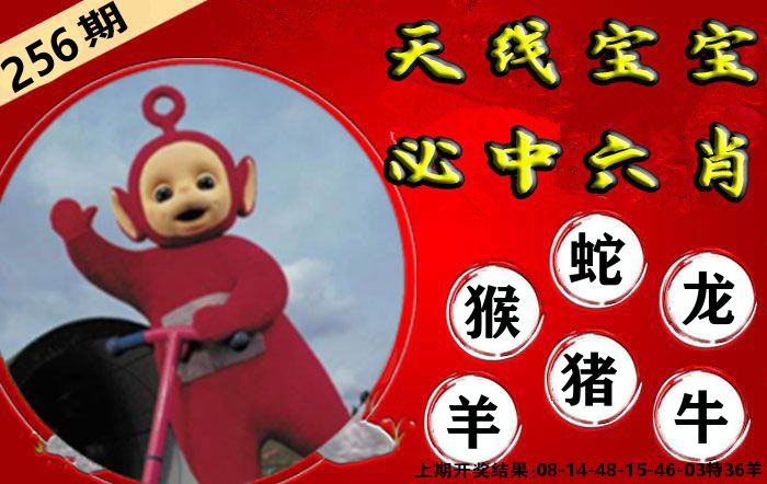 天线宝宝六肖 第256期