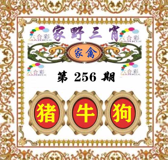 家野三肖 第256期