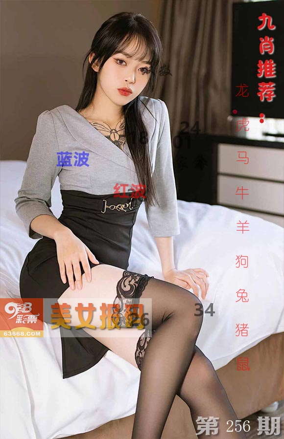 美女报码 第256期