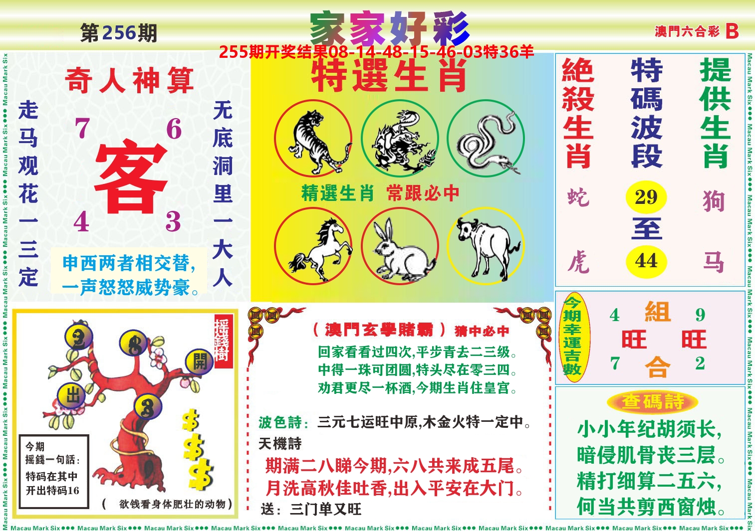家家好彩B 第256期
