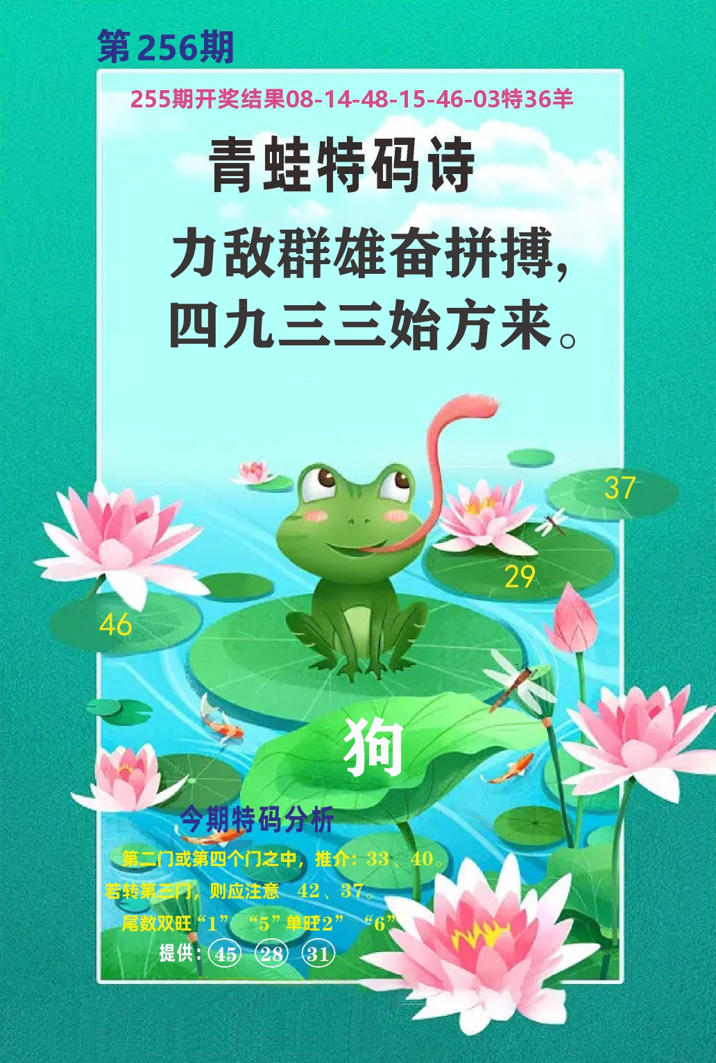 财富人家A 第256期