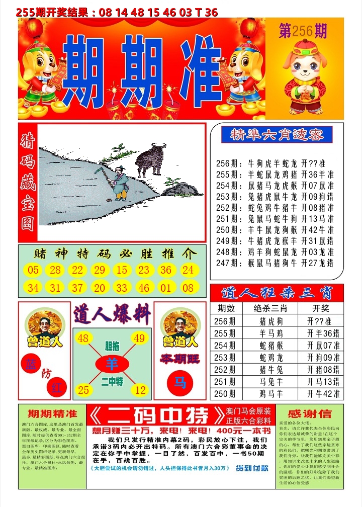 澳门期期准A 第256期