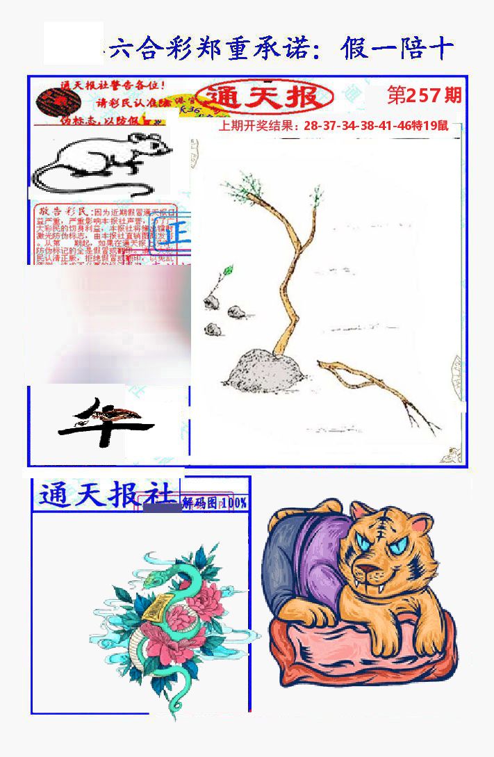 通天报 第257期