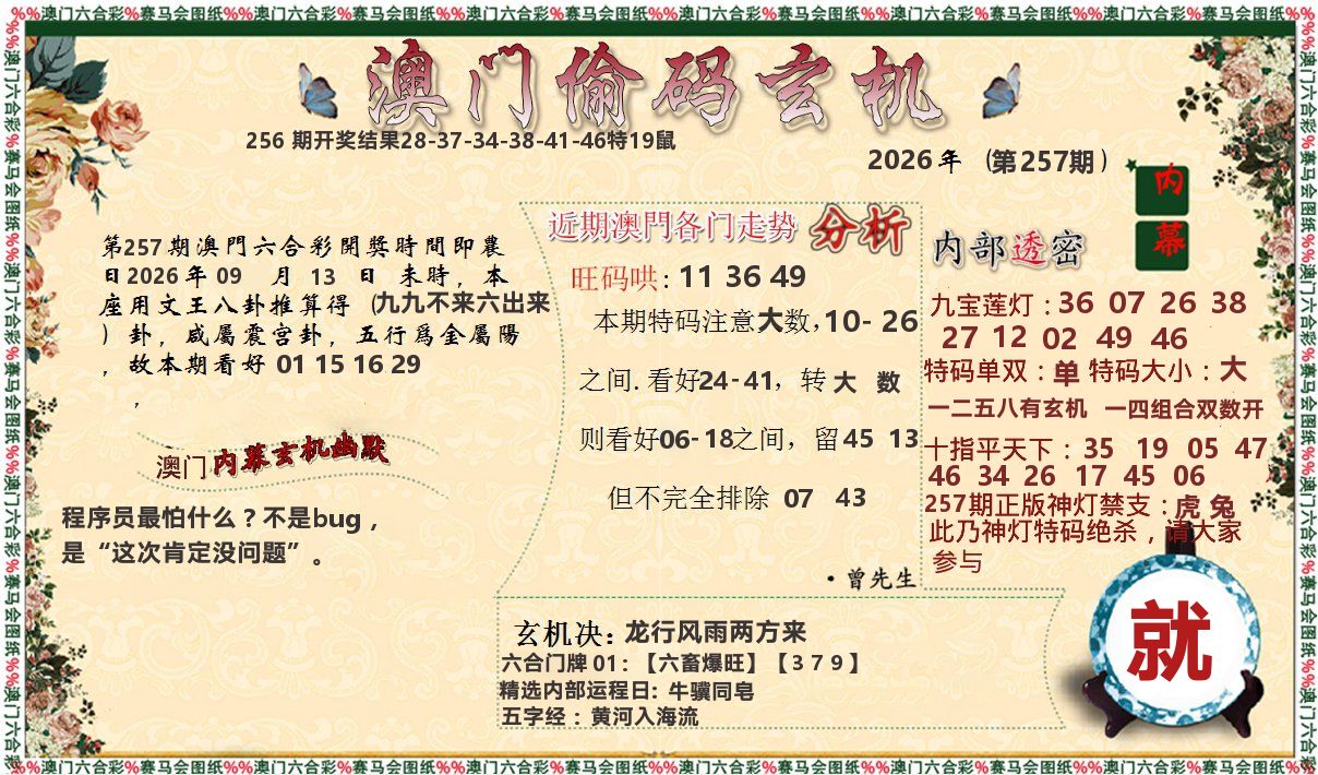 偷码玄机 第257期