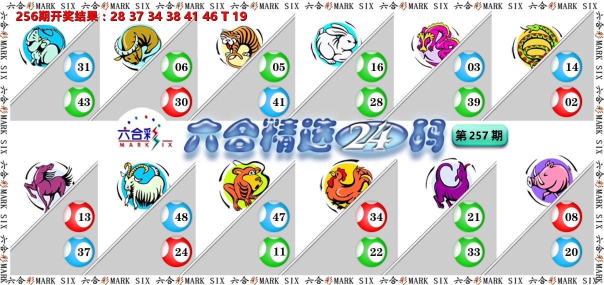 六合精选24码 第257期