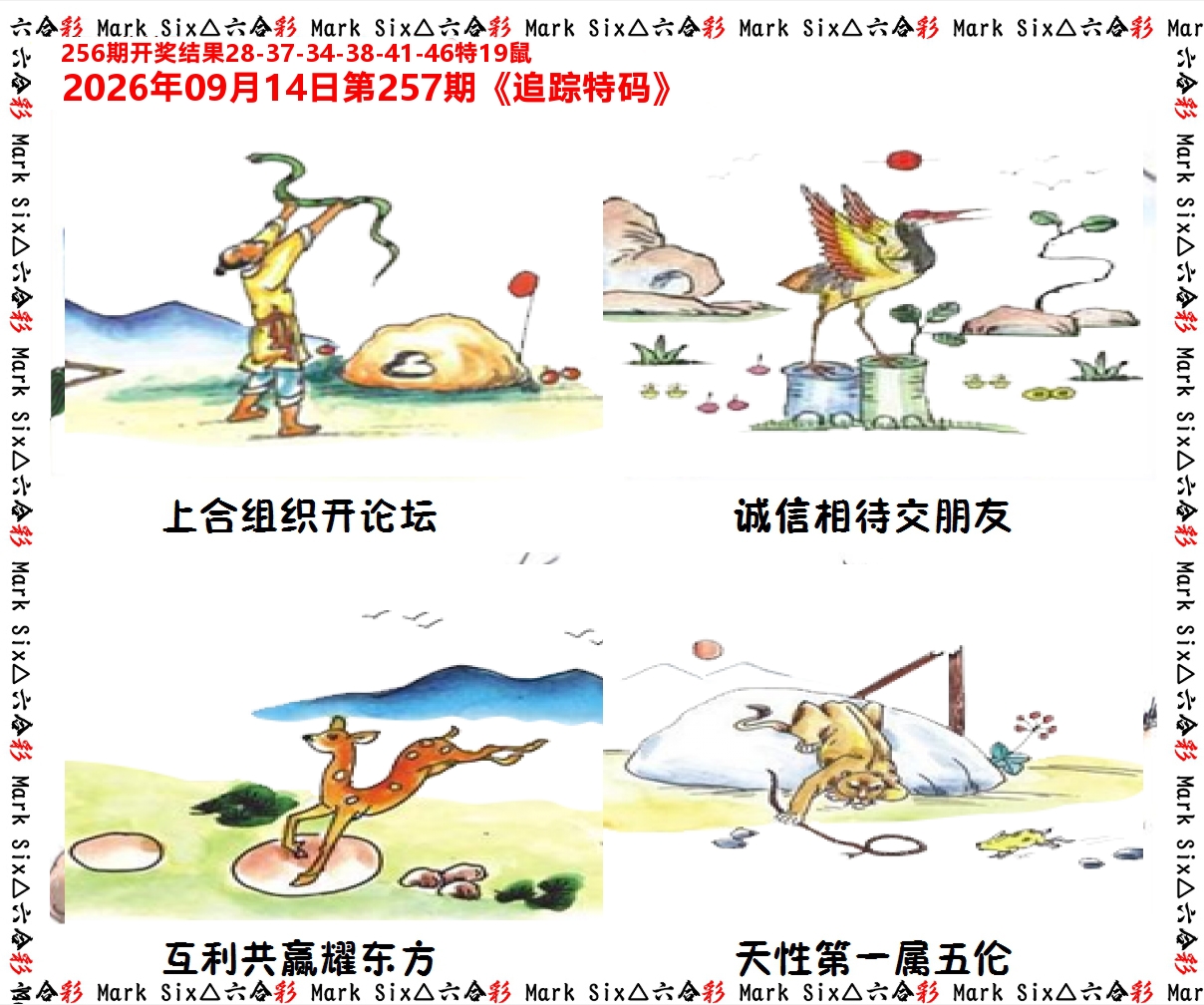 追踪特码 第257期