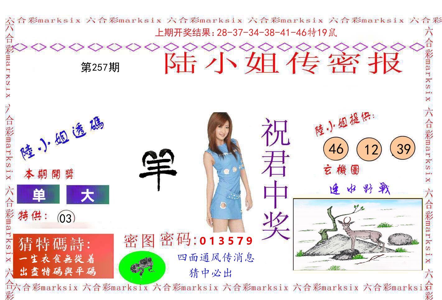 陆小姐密报 第257期