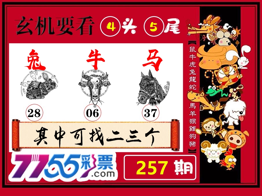 玄机要看 第257期