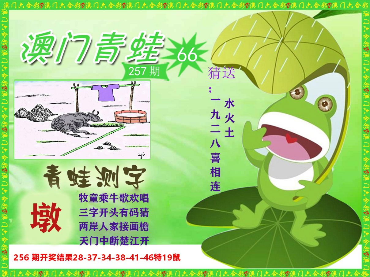 青蛙系列66 第257期