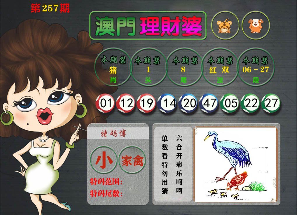 理财婆 第257期