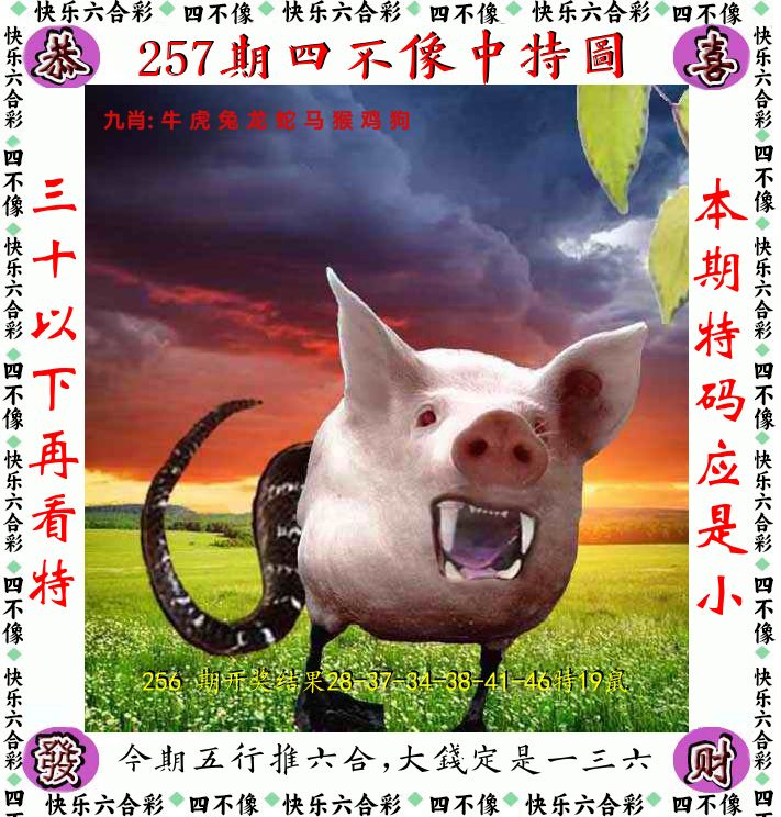 四不像 第257期