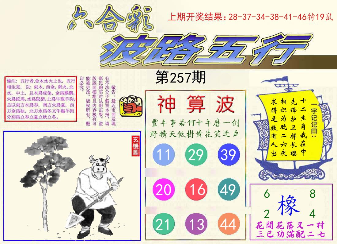 波路五行 第257期