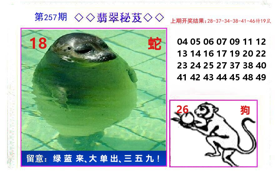 翡翠秘芨 第257期