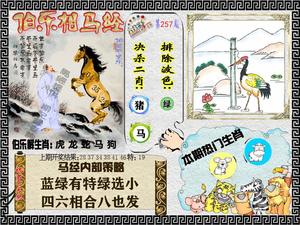 伯乐相马经 第257期