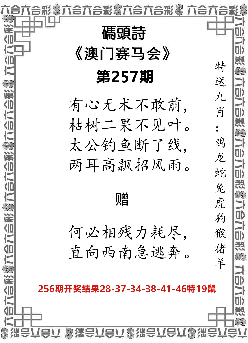 码头诗 第257期