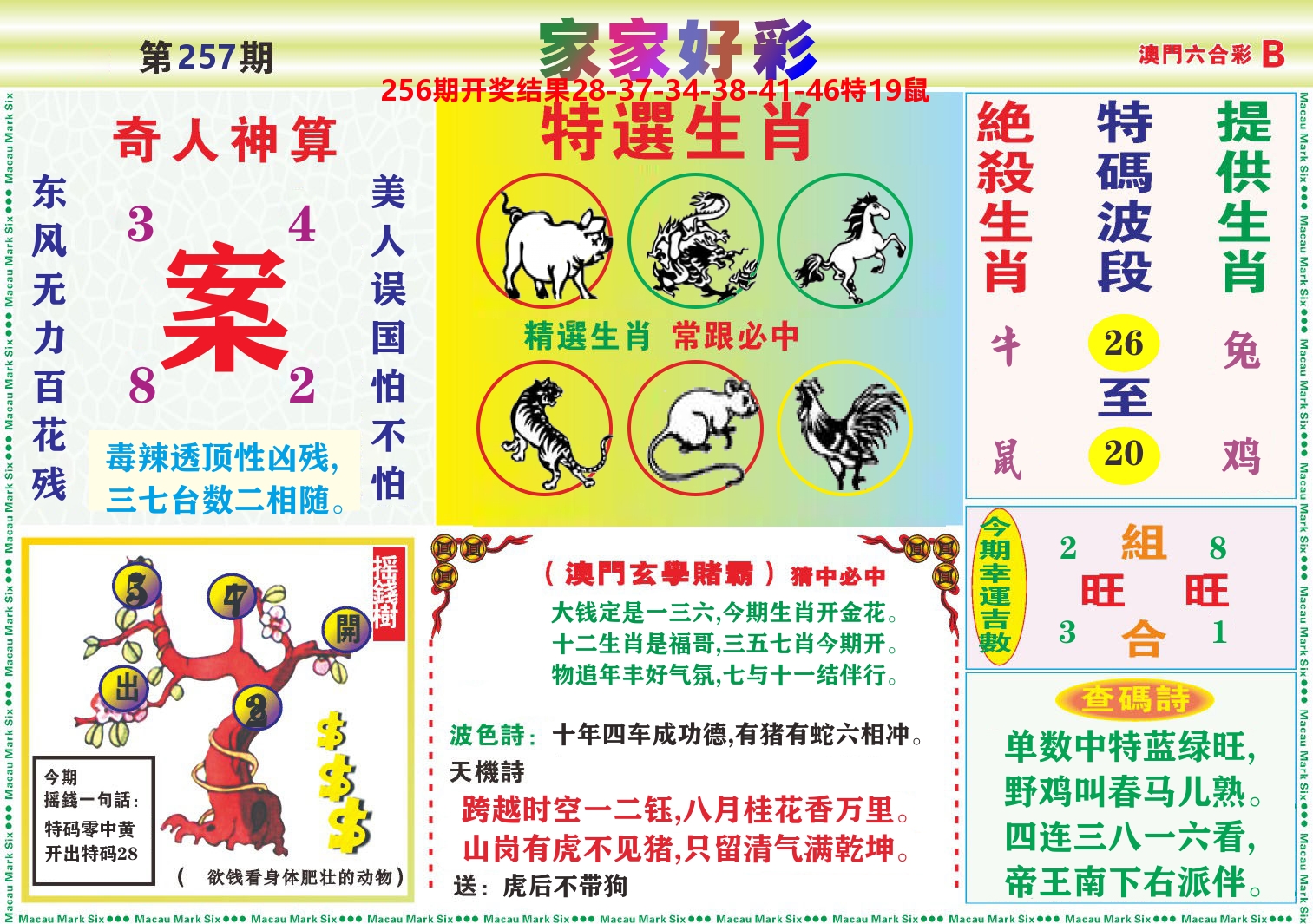 家家好彩B 第257期