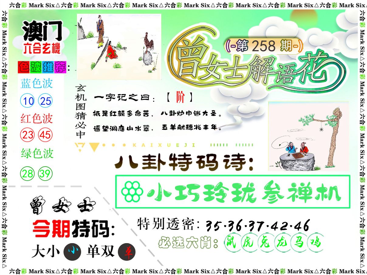 曾女士解语花 第258期