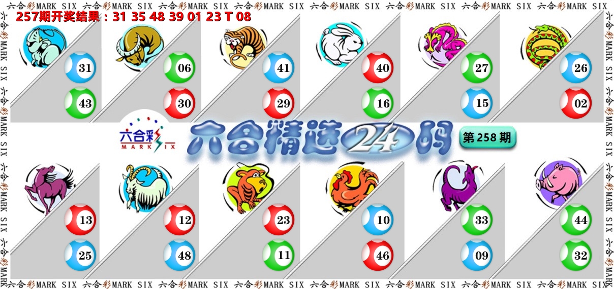 六合精选24码 第258期