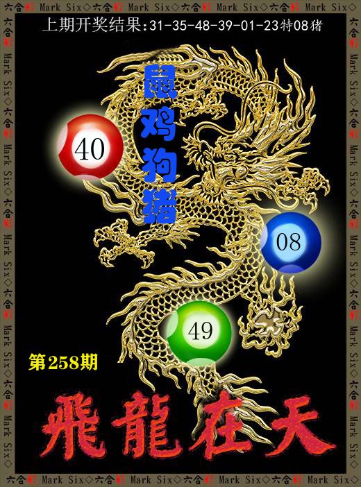 飞龙在天 第258期