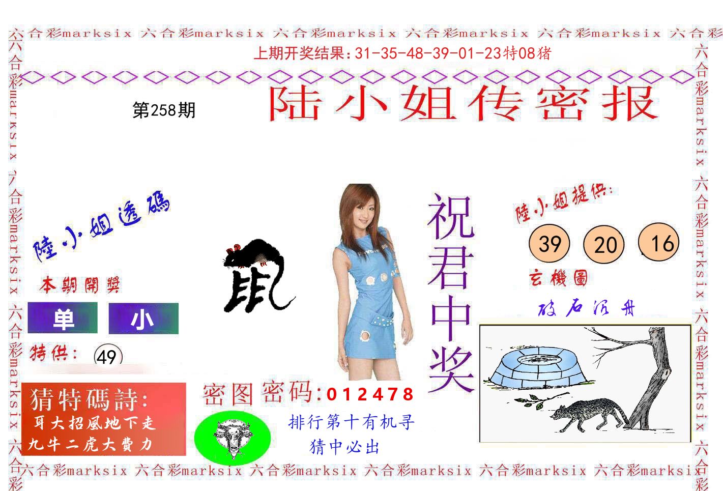 陆小姐密报 第258期