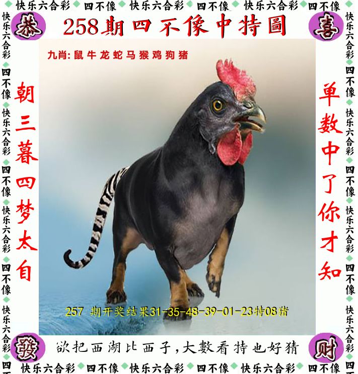 四不像 第258期