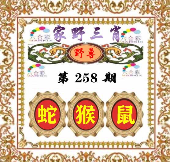 家野三肖 第258期