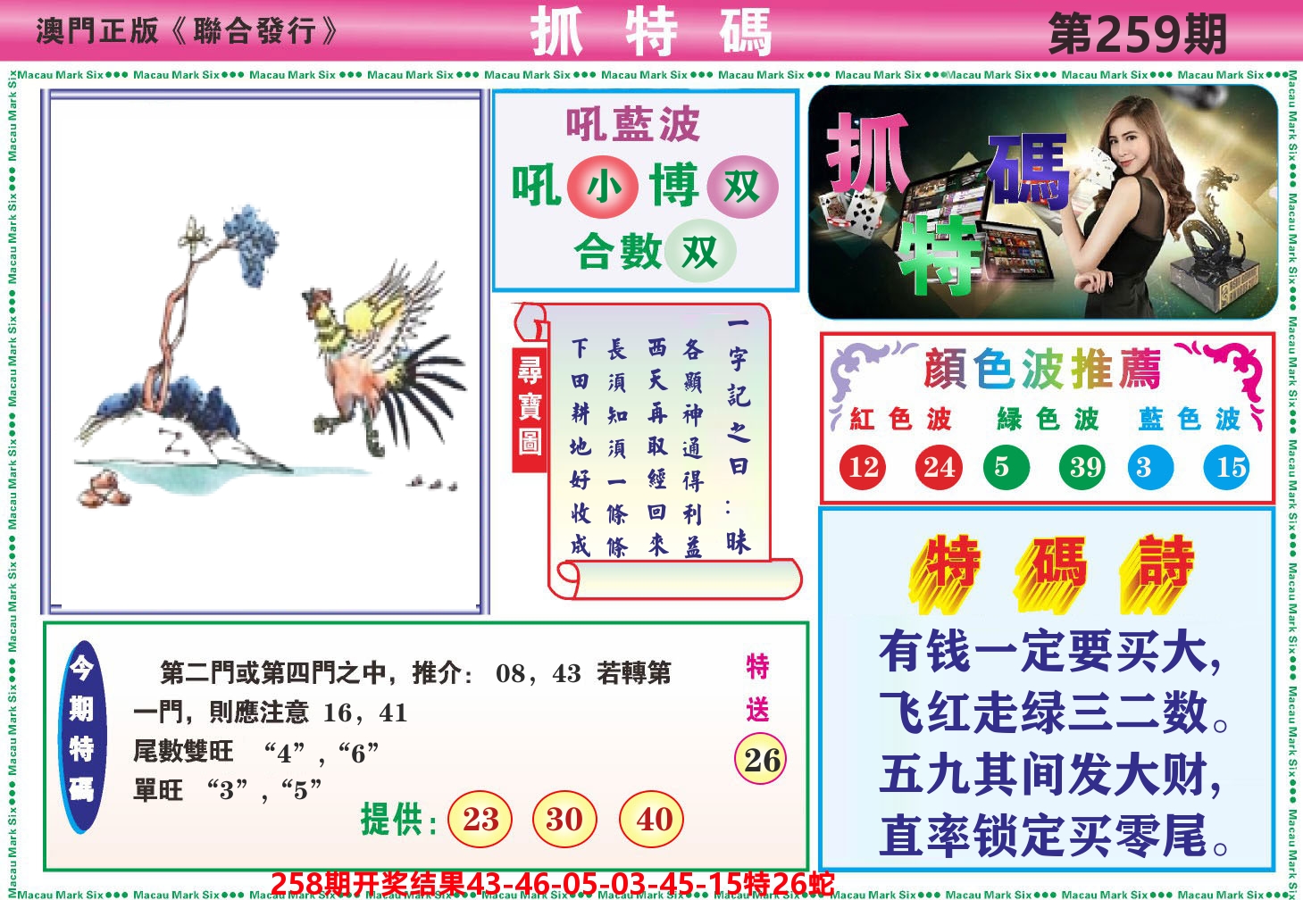 澳门抓特码A 第259期