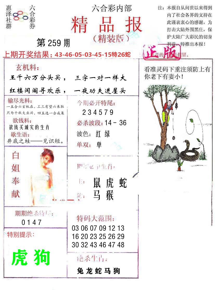 精品报 第259期