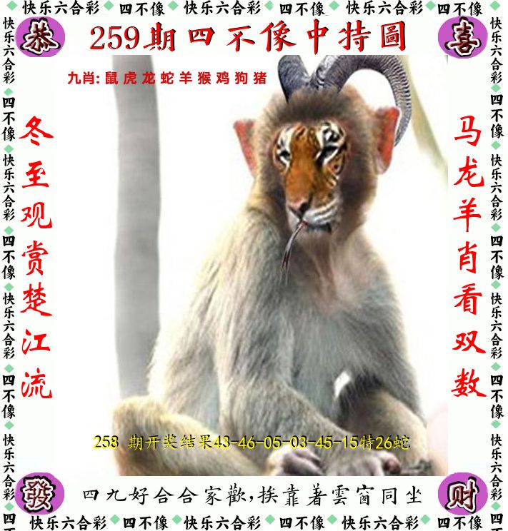 四不像 第259期