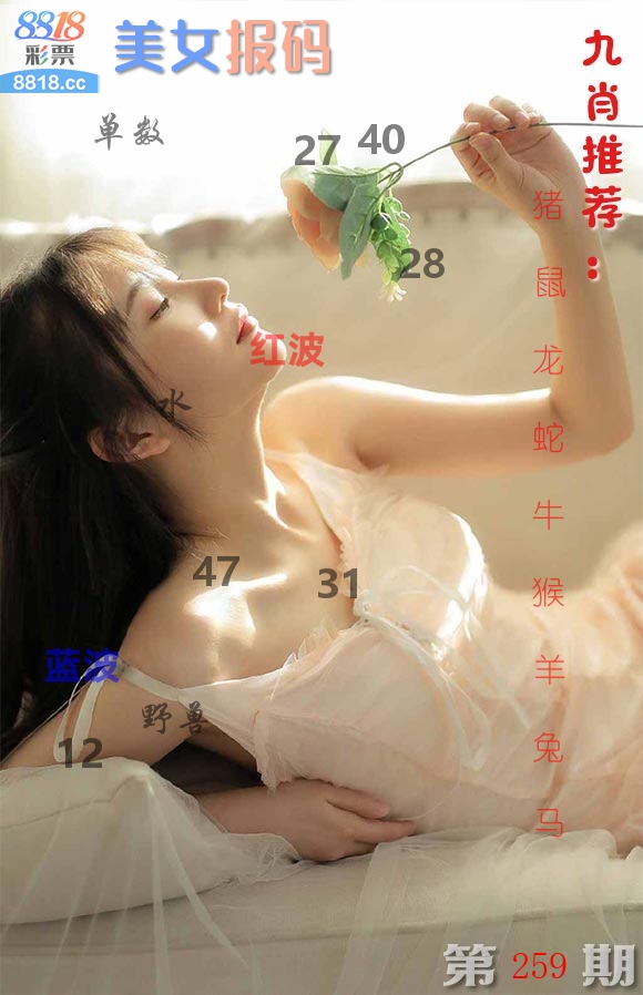 美女报码 第259期