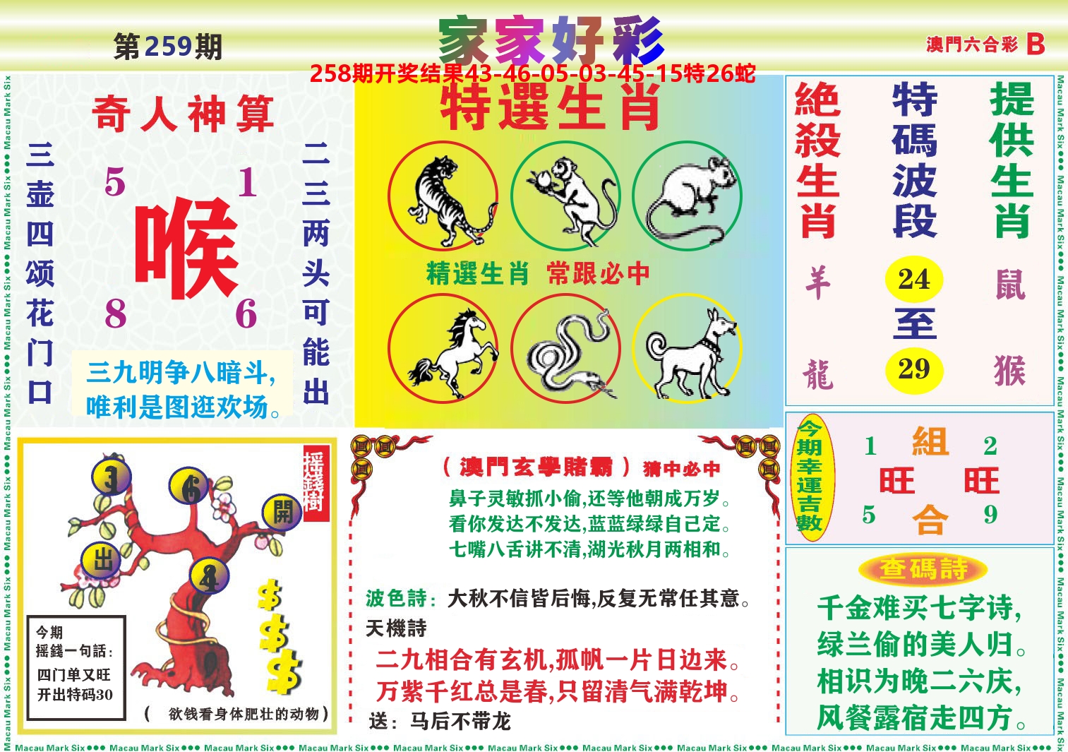 家家好彩B 第259期
