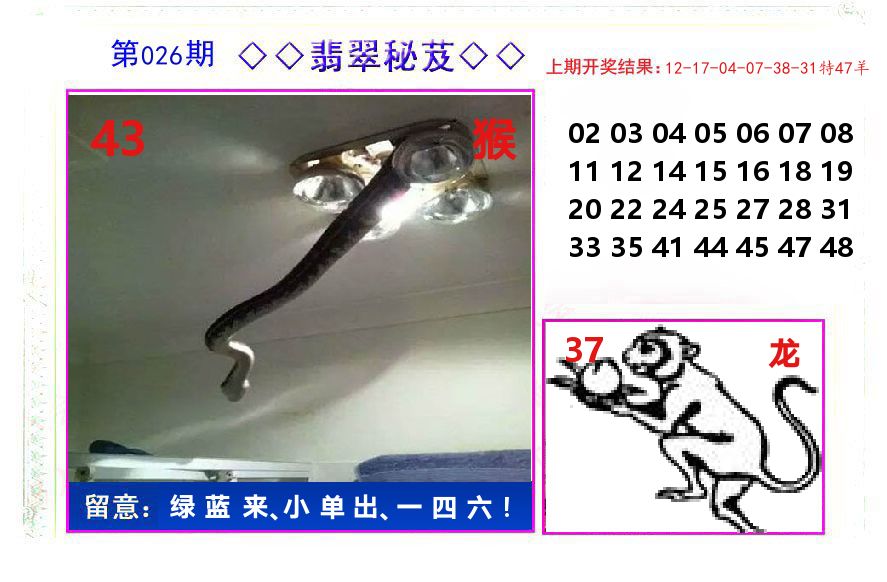 翡翠秘芨 第26期