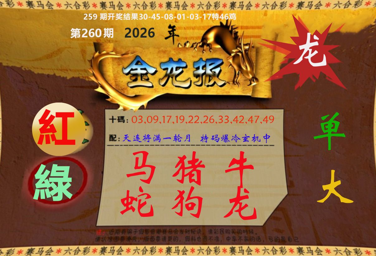 金龙报 第260期