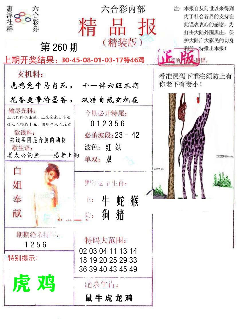 精品报 第260期