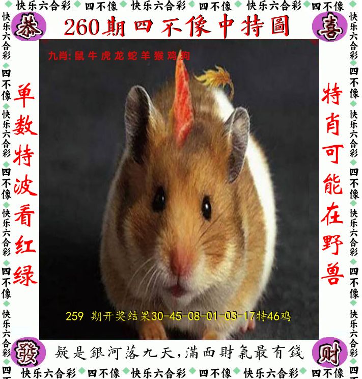 四不像 第260期