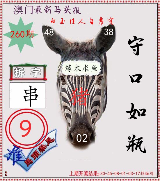 马头报 第260期