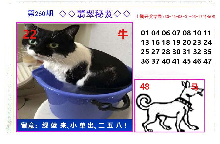翡翠秘芨 第260期