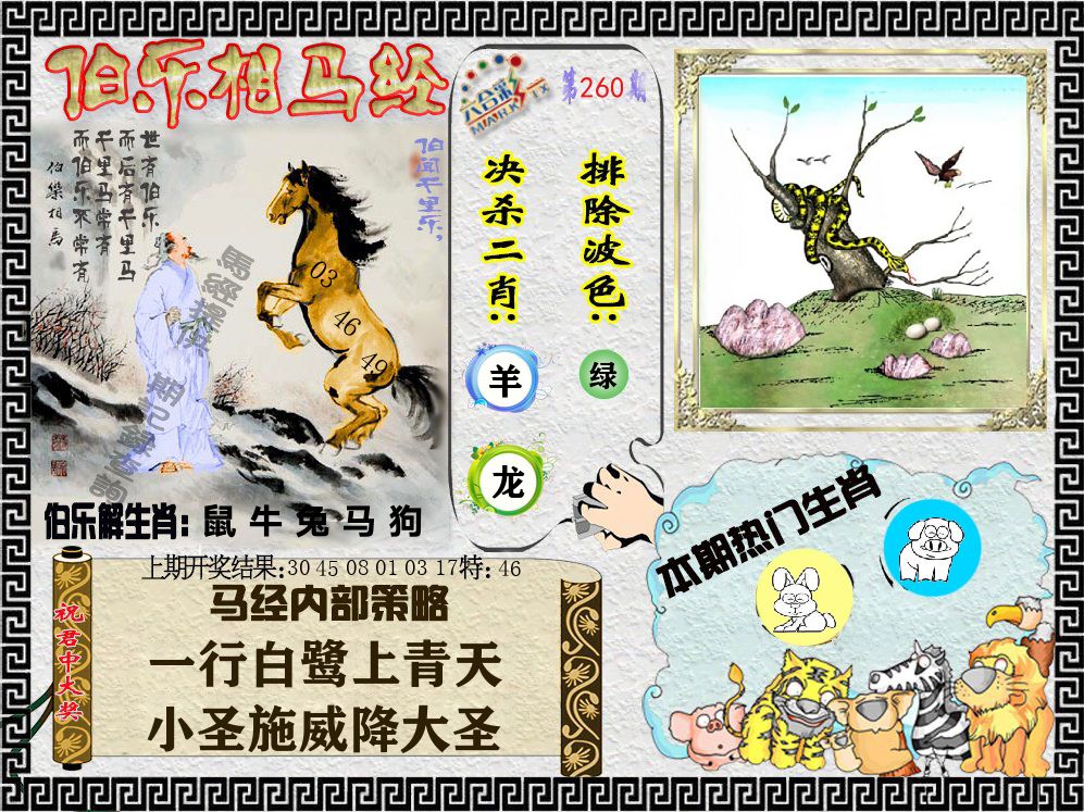 伯乐相马经 第260期
