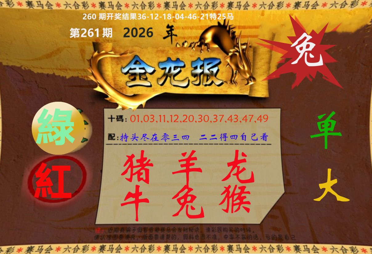 金龙报 第261期