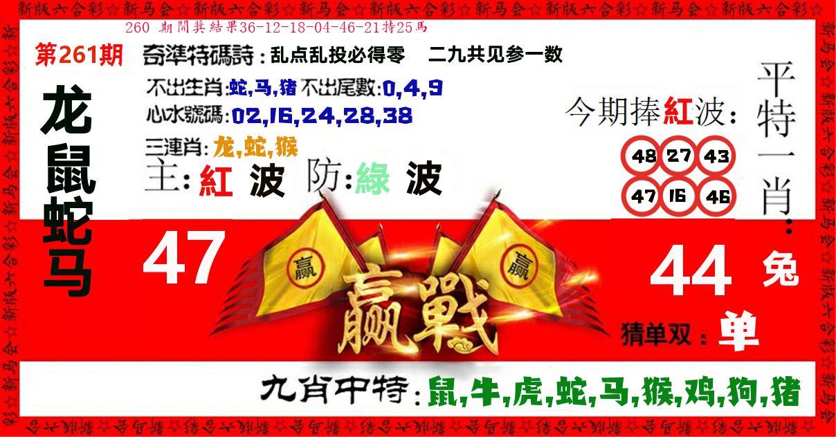 赢站 第261期