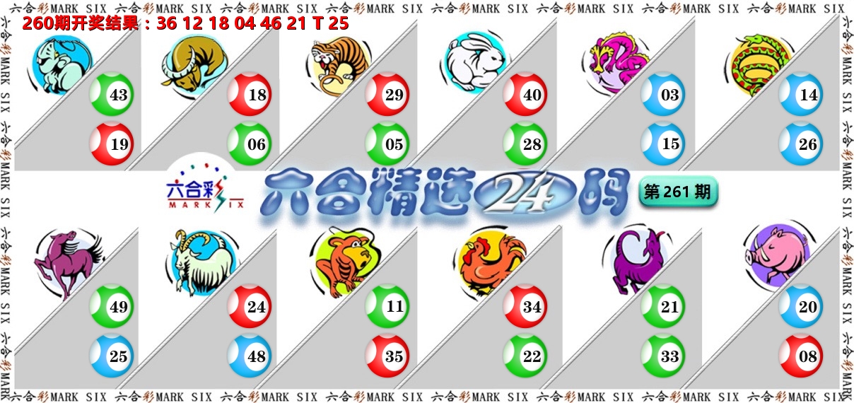 六合精选24码 第261期