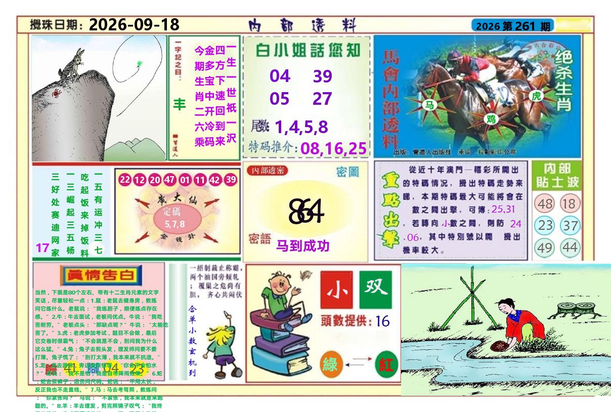 澳门内部透料A 第261期